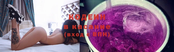 молекула духа Дмитриев