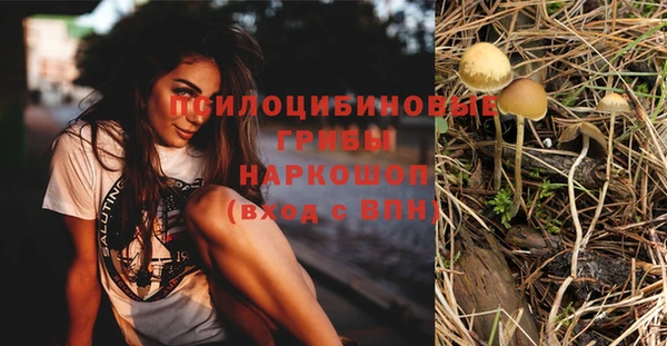PSILOCYBIN Дмитровск
