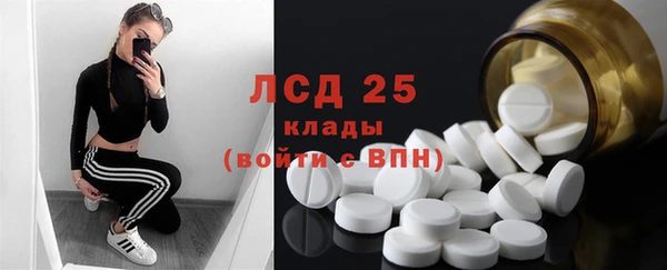 PSILOCYBIN Дмитровск
