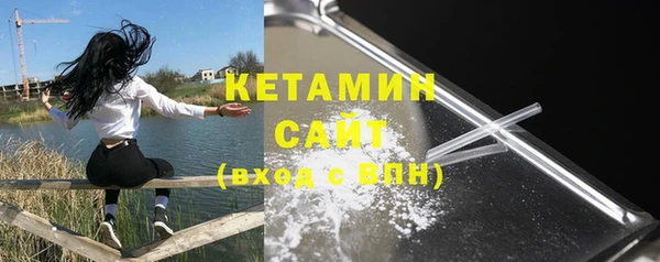 молекула духа Дмитриев