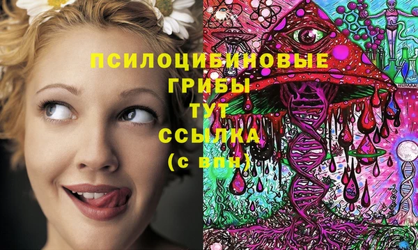 молекула духа Дмитриев
