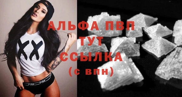 молекула духа Дмитриев