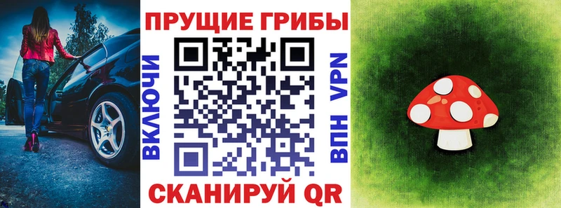 дарнет шоп  Чернушка  Псилоцибиновые грибы мухоморы 