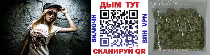 где купить наркотик mega Бошки Шишки Bruce Banner Чернушка